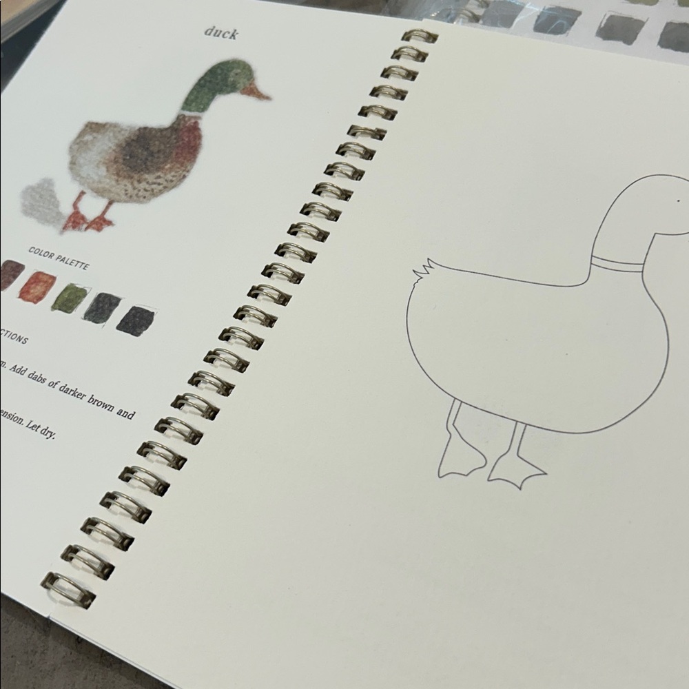 New Watercolor Workbooks  Set of 2 Animals and Seaside Instructions w/Sketches - Picture 5 of 5